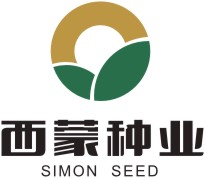 西蒙(meng)瓜子